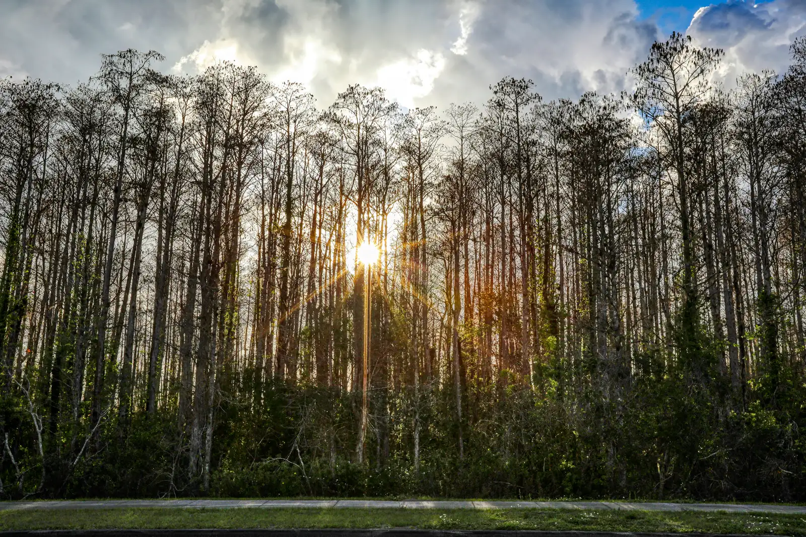 Mount Kalaga · Stimmungsfotos echter Orte in Florida, keine Bilder aus dem Spiel.